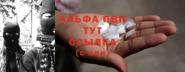 spice Бородино