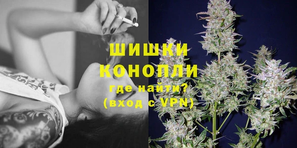 spice Бородино